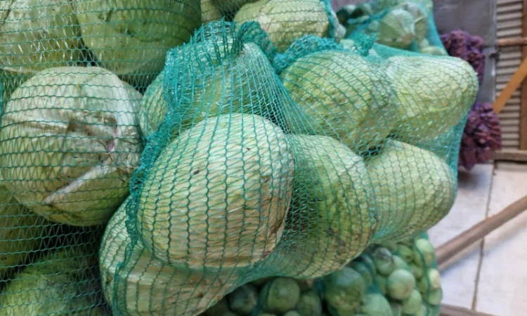 Продаж буряка, капусти та моркви. Опт - фото № 7