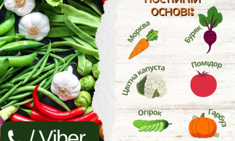 Закуповуємо овочі у великих об'ємах (від 20 т) - фото № 1