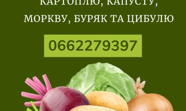 Закуповуємо в об'ємі капусту, моркву та буряк - фото № 1