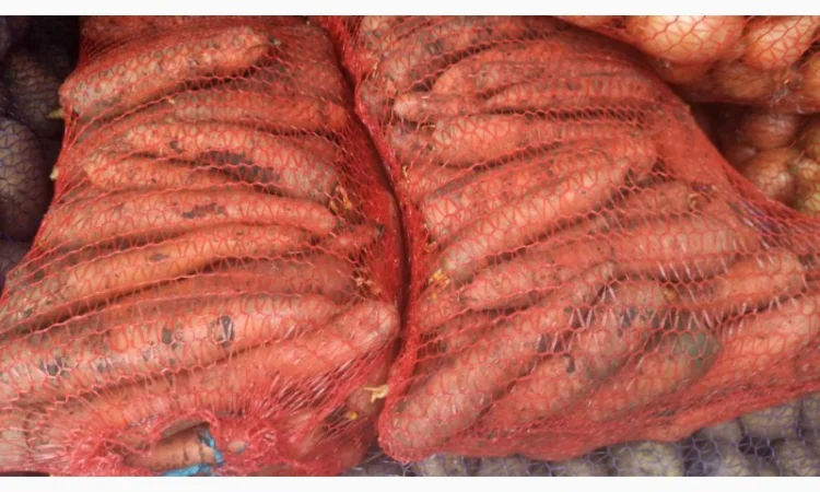 Продам моркву, цибулю та картоплю - фото № 1