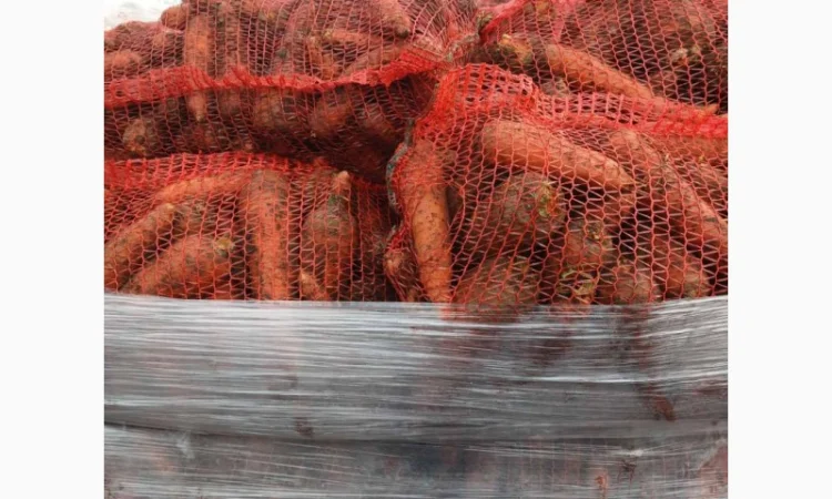 Продам овощи, морковка, буряк, лук, капуста - фото № 4