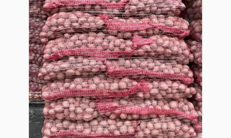 Продам Семенной картофель Оптом от 500 кг / Импорт - фото № 1