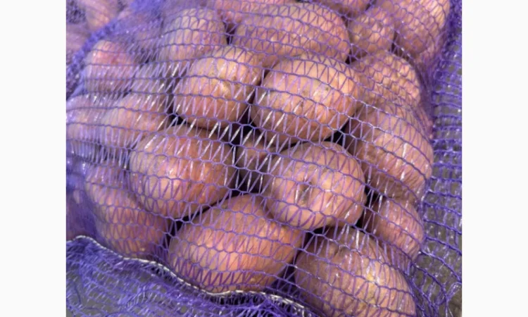 Продажа насіннєвої та продовольчої картоплі - фото № 8