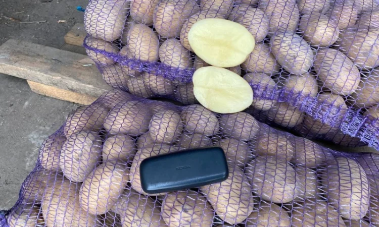 Продаж товарної картоплі урожаю 2024 року - фото № 4