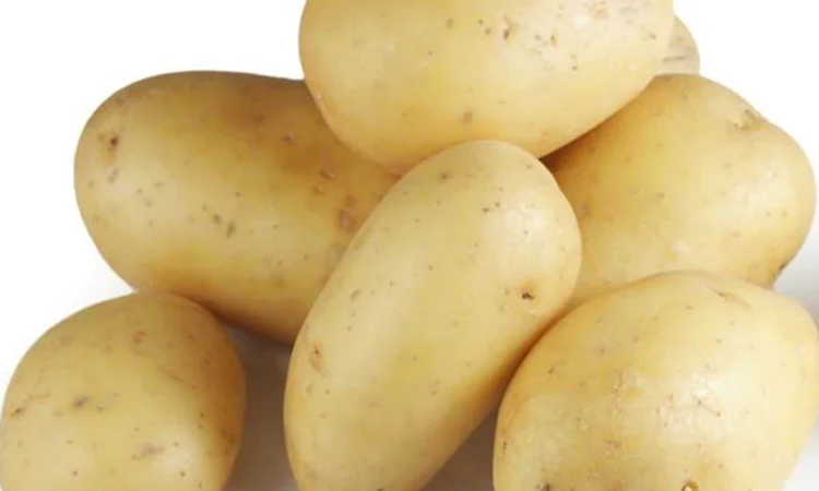 Свежий желтый картофель, Киев Whatsapp +33758499139 Винницкая обл - фото № 1