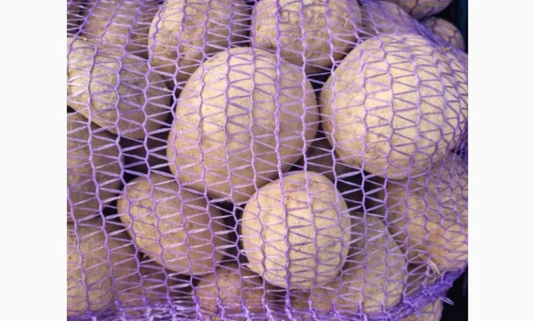 Покупка картоплі оптом у Києві - фото № 2