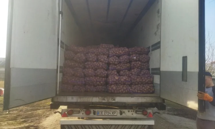 Покупка картоплі оптом у Києві - фото № 6