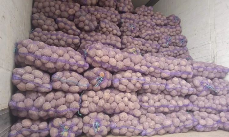 Покупка картоплі оптом у Києві - фото № 4