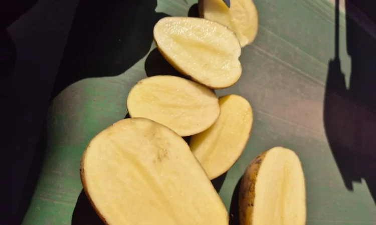 Якісна картопля на продаж - фото № 3