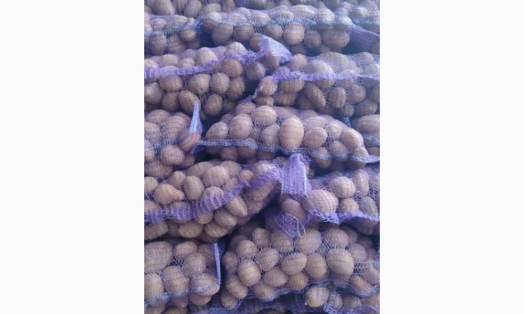 Качественный картофель разных сортов на продажу - фото № 1