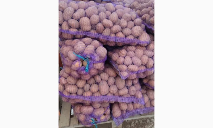 Качественный картофель разных сортов на продажу - фото № 2