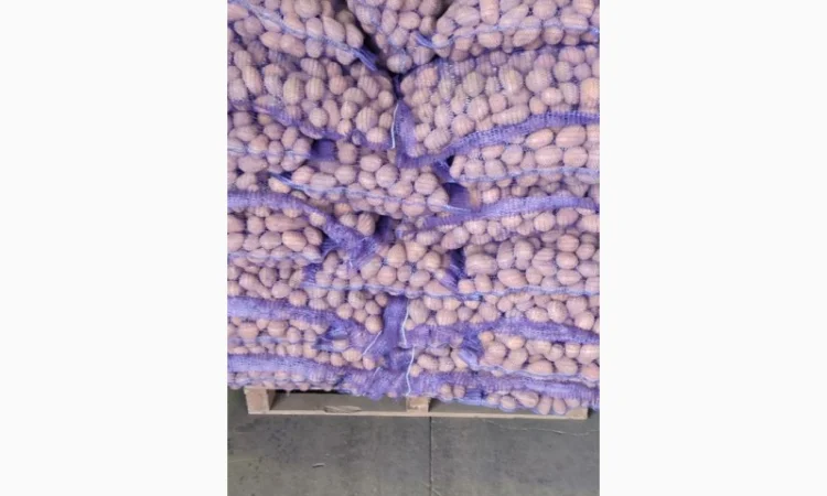 Качественный картофель разных сортов на продажу - фото № 3