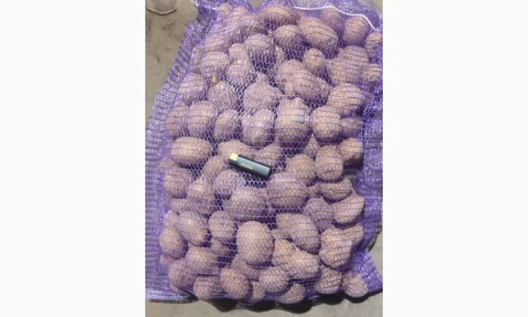 Качественный картофель разных сортов на продажу - фото № 5