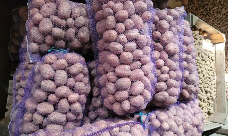 Продам картоплю велику і насіневу белароса арізона рівєра - фото № 4