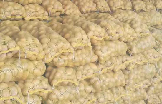 Продам картофель с Польши сорт Гранада и Королева Анна - фото № 1