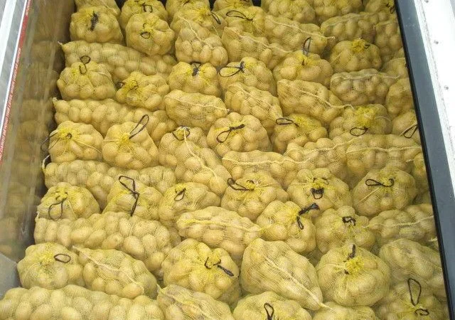 Продам картофель с Польши сорт Гранада и Королева Анна - фото № 4
