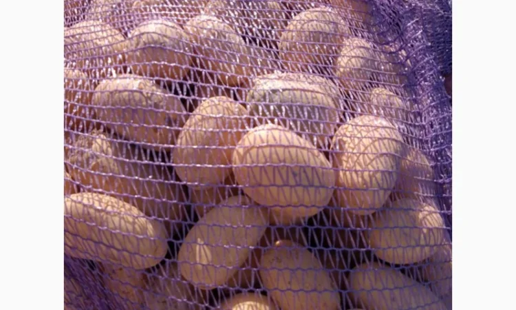 Продамо картоплю - фото № 1