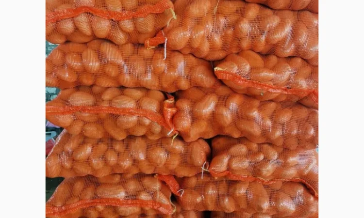 Продаю свежую молодую картошку - фото № 3