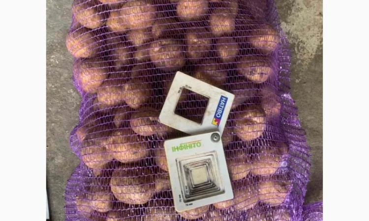 Продаж картоплі від виробника високої якості - фото № 1