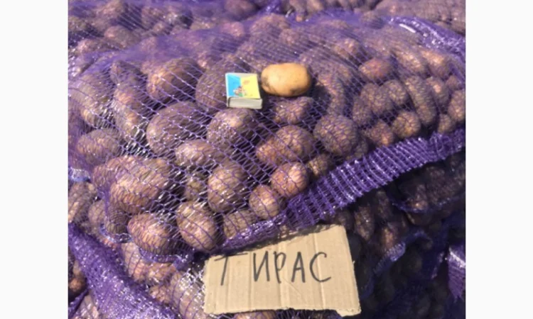 ТІРАС 1 репродукція нас - фото № 1