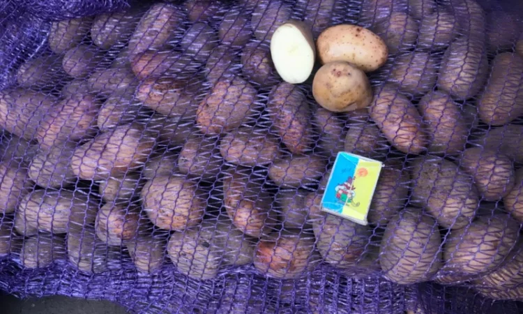 ТІРАС 1 репродукція нас - фото № 4