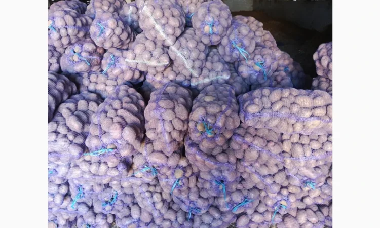 Продается крупная товарная картошка БеллаРоза - фото № 6