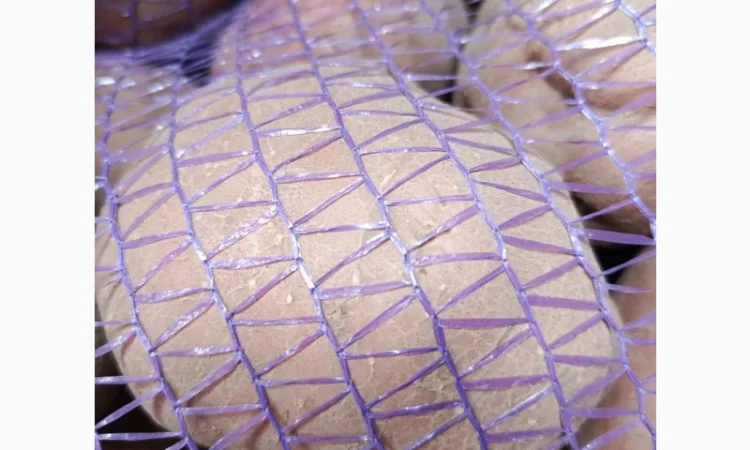 Продам картофель БеллаРоза урожай 2025 года - фото № 4