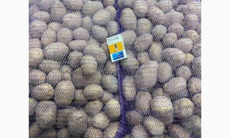 Продаю картоплю, рожева, біла - фото № 1