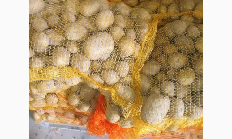 Продаж картоплі гуртом великими партіями - фото № 3