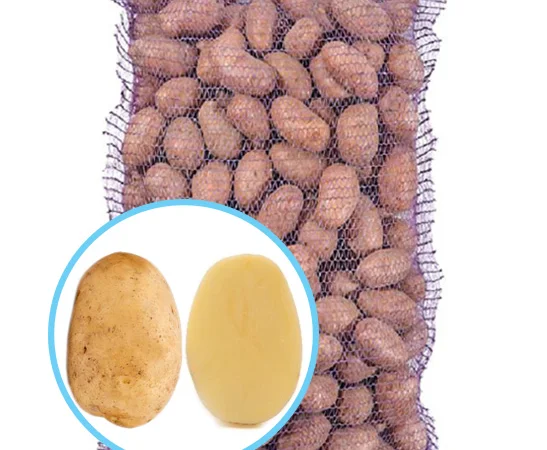 Сорт картоплі Рів'єра – ультраранній, упаковка 2.5кг - фото № 1