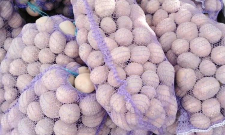 Продажа картофеля сортов Белароса и Аризона - фото № 1