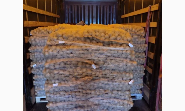 Продаж картоплі сорту Гранада від 20 тонн - фото № 1