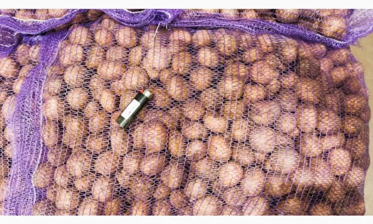 Картопля Мелоді, 1 репродукція, 35/45 - фото № 3