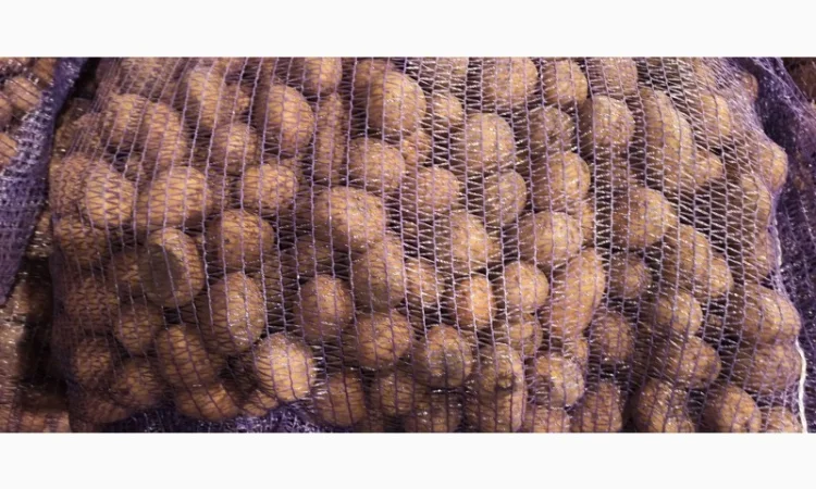 Картопля Мелоді, 1 репродукція, 35/45 - фото № 4