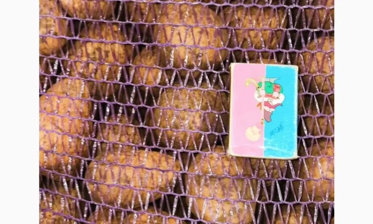 Картопля Мелоді, 1 репродукція, 35/45 - фото № 5