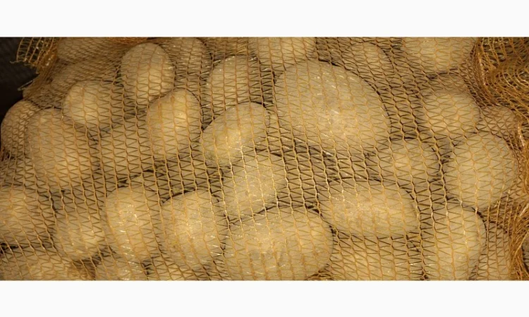 Картопля 5+ в сітках від польської компанії - фото № 2