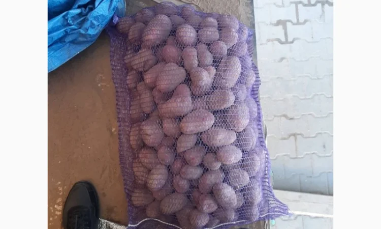 Продам товарний картофель - фото № 1