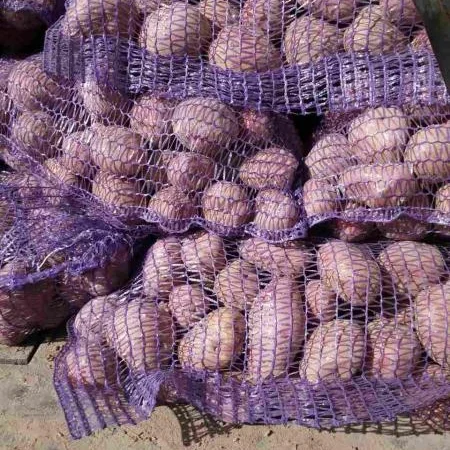 Продам товарний картофель - фото № 2