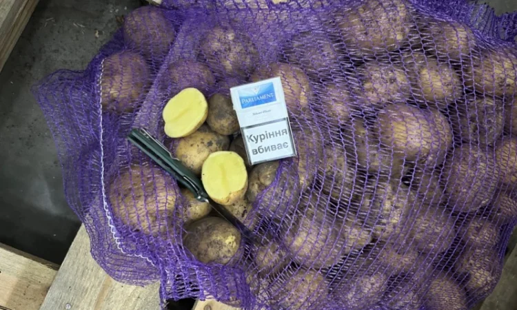 Закупівля картоплі для столових - фото № 3