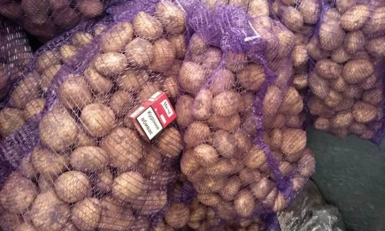 Оптова продаж картоплі - фото № 1