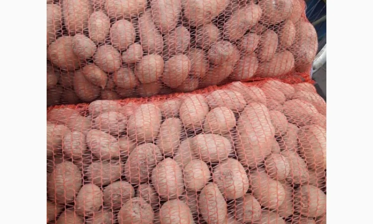 Оптовий продаж товарної картоплі - фото № 1