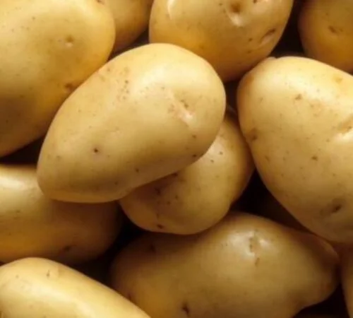 Якісна картопля оптом у Вінниці - фото № 1