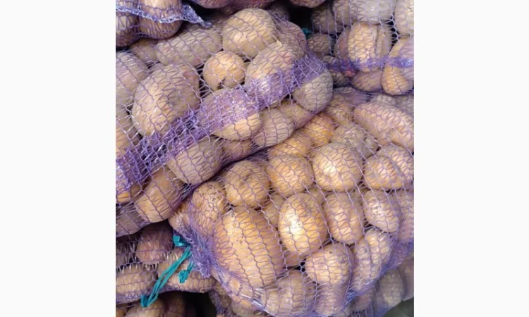 Продажа картошки разных сортов - фото № 1