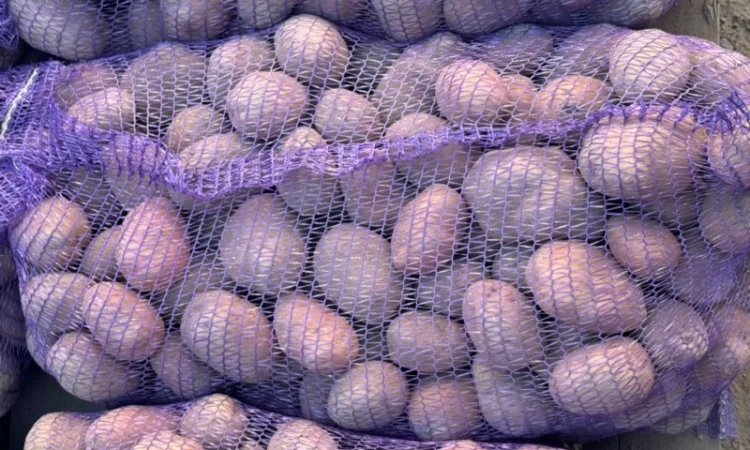 Куплю картошку домашнюю и фермерскую - фото № 1