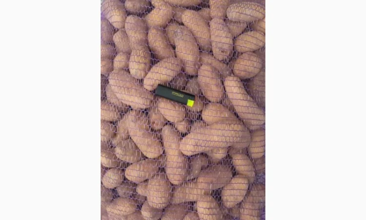 Куплю домашню та фермерську картоплю - фото № 1