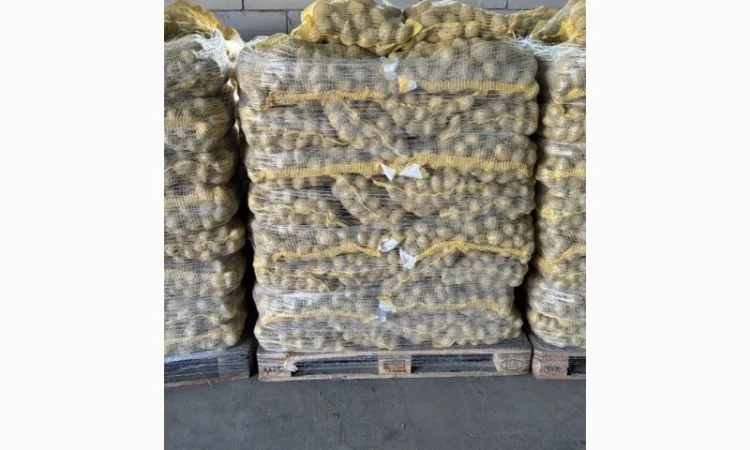 Продаж картоплі різних сортів - фото № 2