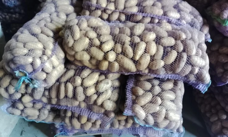 Картопля з піску від населення - фото № 2