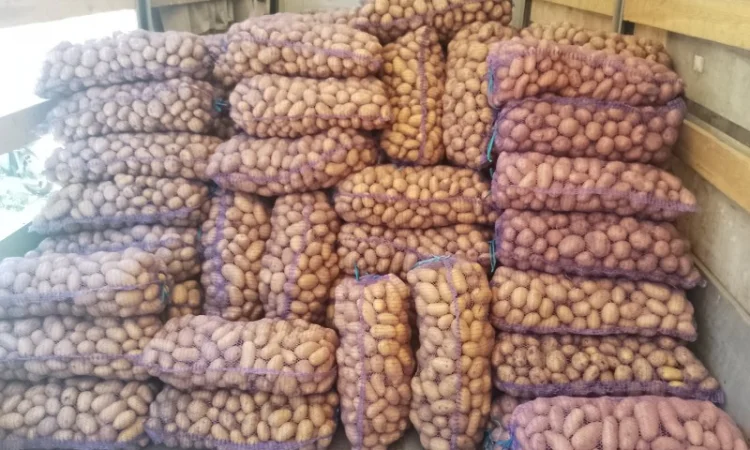 Картопля з піску від населення - фото № 3