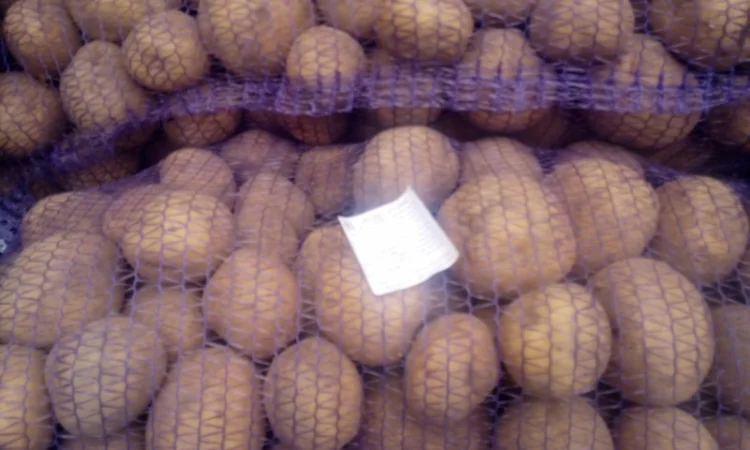 Продажа картофеля, большой выбор сортов - фото № 2