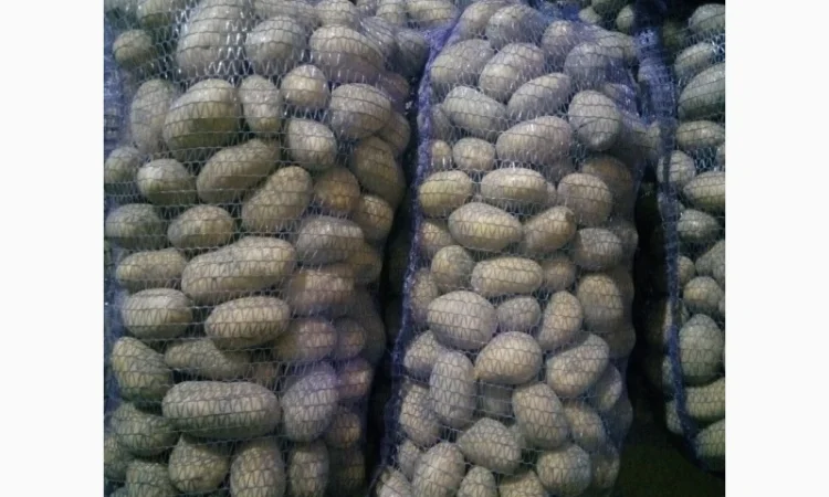 Продажа картофеля, большой выбор сортов - фото № 4